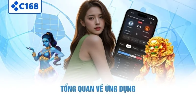 Tổng quan về ứng dụng